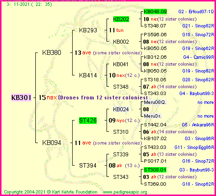 Pedigree of KB301 :
four generations presented
it's temporarily unavailable, sorry!