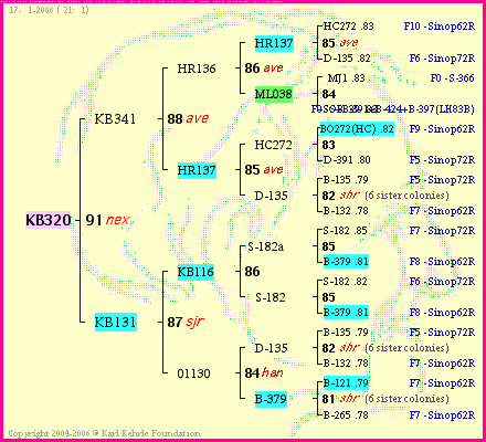 Pedigree of KB320 :
four generations presented