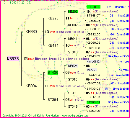 Pedigree of KB333 :
four generations presented
it's temporarily unavailable, sorry!