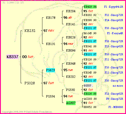 Pedigree of KB337 :
four generations presented
it's temporarily unavailable, sorry!