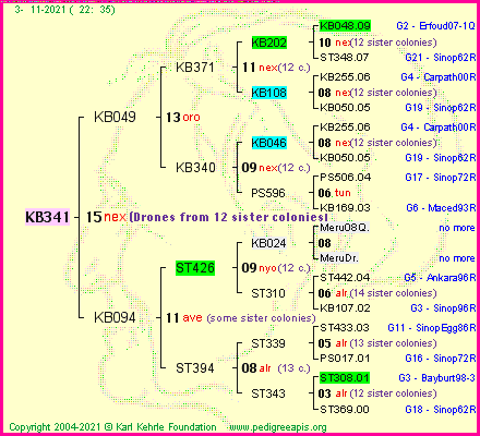 Pedigree of KB341 :
four generations presented
it's temporarily unavailable, sorry!