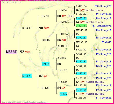 Pedigree of KB367 :
four generations presented