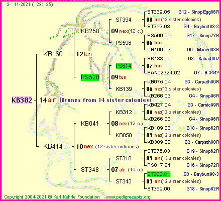 Pedigree of KB382 :
four generations presented
it's temporarily unavailable, sorry!