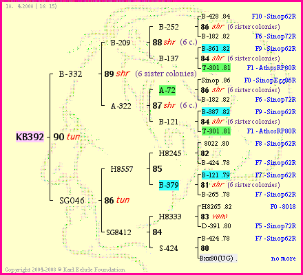 Pedigree of KB392 :
four generations presented