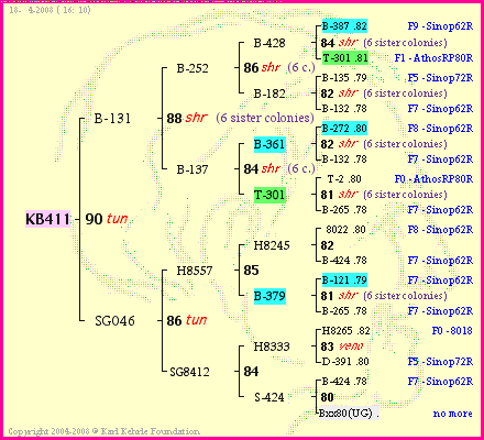 Pedigree of KB411 :
four generations presented
it's temporarily unavailable, sorry!