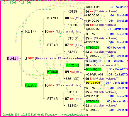 Pedigree of KB431 :
four generations presented
it's temporarily unavailable, sorry!