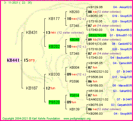 Pedigree of KB441 :
four generations presented
it's temporarily unavailable, sorry!