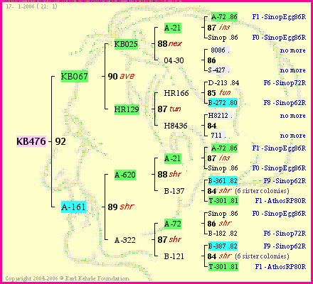 Pedigree of KB476 :
four generations presented