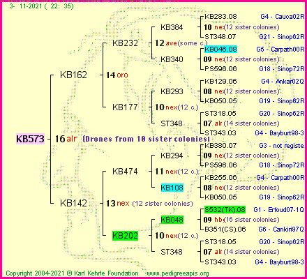 Pedigree of KB573 :
four generations presented
it's temporarily unavailable, sorry!