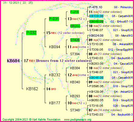 Pedigree of KB684 :
four generations presented
it's temporarily unavailable, sorry!