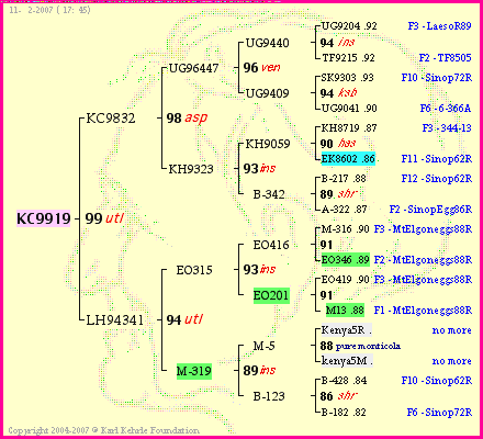 Pedigree of KC9919 :
four generations presented