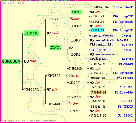 Pedigree of KDK0004 :
four generations presented