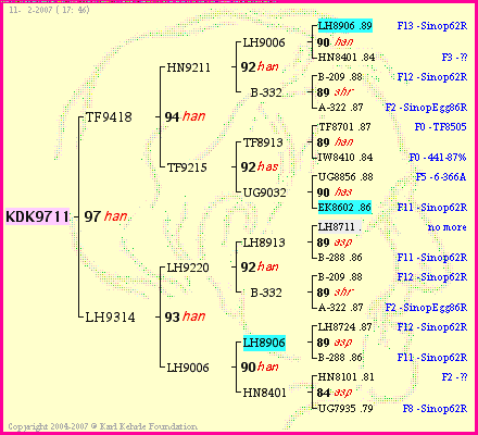 Pedigree of KDK9711 :
four generations presented