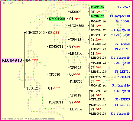 Pedigree of KEO04910 :
four generations presented