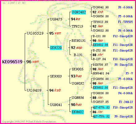 Pedigree of KEO96519 :
four generations presented