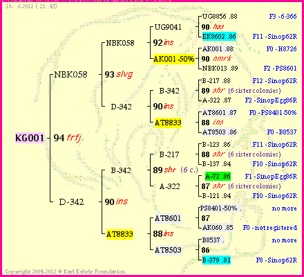 Pedigree of KG001 :
four generations presented