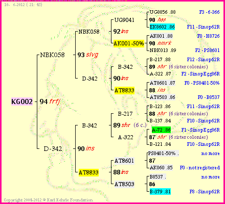 Pedigree of KG002 :
four generations presented