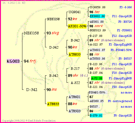 Pedigree of KG003 :
four generations presented