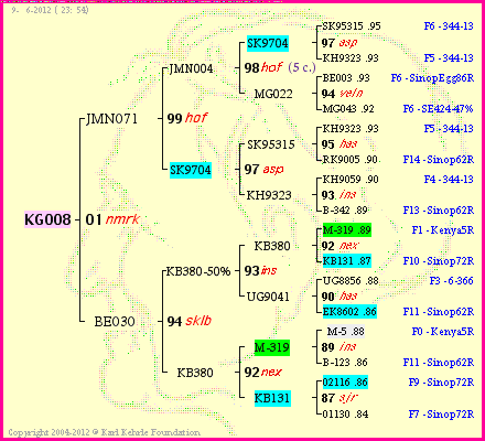 Pedigree of KG008 :
four generations presented