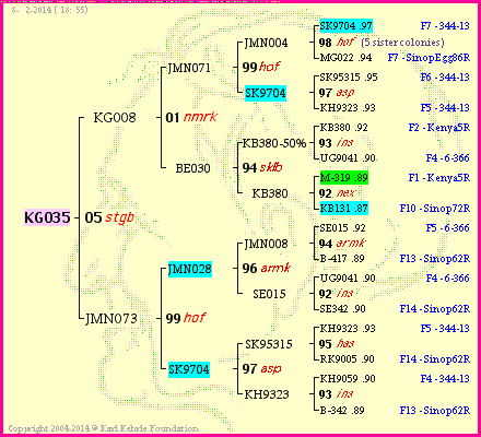 Pedigree of KG035 :
four generations presented