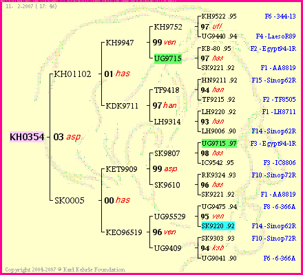 Pedigree of KH0354 :
four generations presented