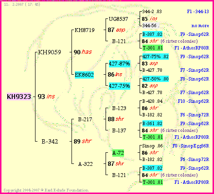 Pedigree of KH9323 :
four generations presented