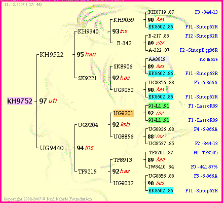 Pedigree of KH9752 :
four generations presented