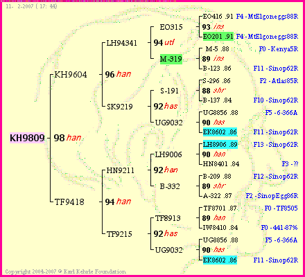 Pedigree of KH9809 :
four generations presented