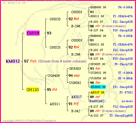 Pedigree of KM012 :
four generations presented