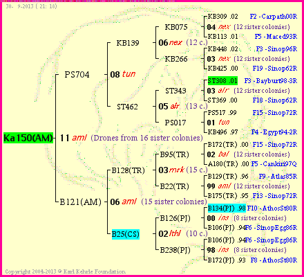 Pedigree of Ka150(AM) :
four generations presented