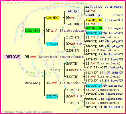 Pedigree of L083(WF) :
four generations presented<br />it's temporarily unavailable, sorry!