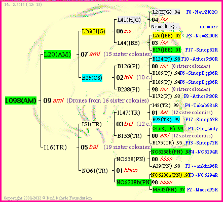 Pedigree of L098(AM) :
four generations presented