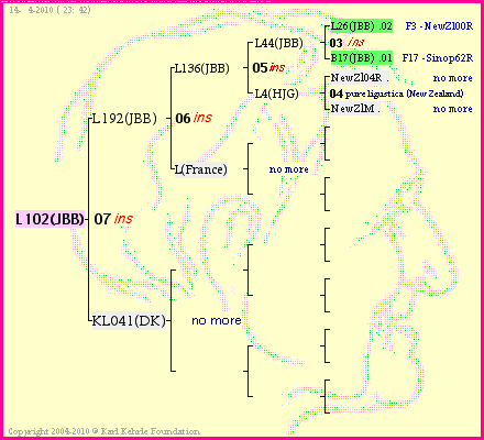 Pedigree of L102(JBB) :
four generations presented