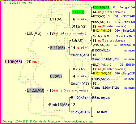 Pedigree of L106(AS) :
four generations presented
it's temporarily unavailable, sorry!