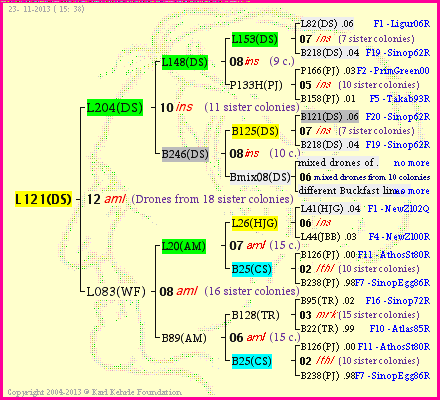 Pedigree of L121(DS) :
four generations presented