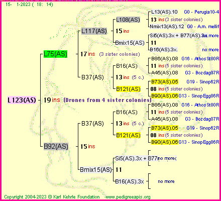 Pedigree of L123(AS) :
four generations presented
it's temporarily unavailable, sorry!