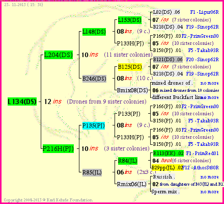 Pedigree of L134(DS) :
four generations presented