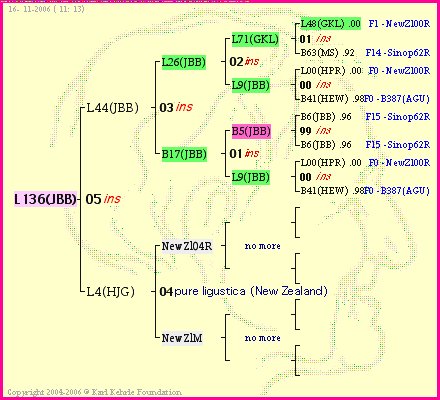 Pedigree of L136(JBB) :
four generations presented