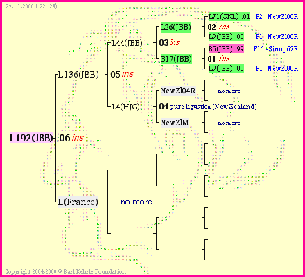 Pedigree of L192(JBB) :
four generations presented