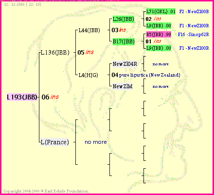 Pedigree of L193(JBB) :
four generations presented