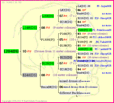 Pedigree of L204(DS) :
four generations presented