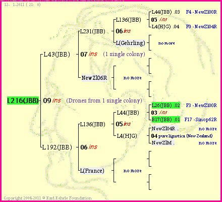 Pedigree of L216(JBB) :
four generations presented