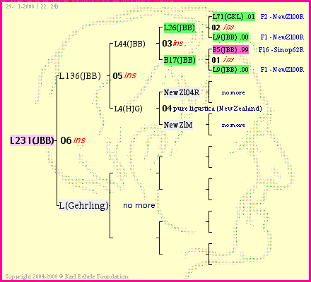 Pedigree of L231(JBB) :
four generations presented