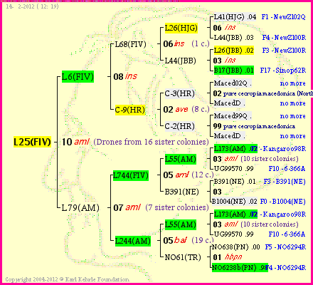 Pedigree of L25(FIV) :
four generations presented