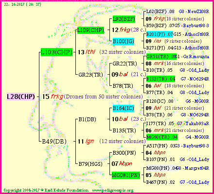 Pedigree of L28(CHP) :
four generations presented