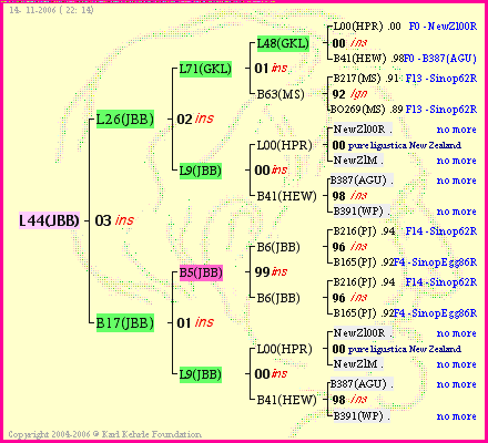 Pedigree of L44(JBB) :
four generations presented