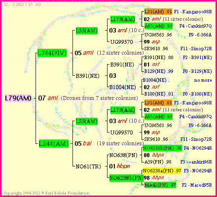 Pedigree of L79(AM) :
four generations presented<br />it's temporarily unavailable, sorry!