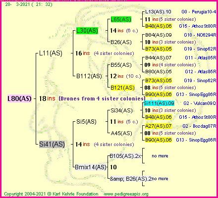 Pedigree of L80(AS) :
four generations presented
it's temporarily unavailable, sorry!