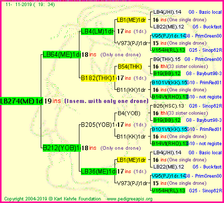 Pedigree of LB274(ME)1dr :
four generations presented
it's temporarily unavailable, sorry!