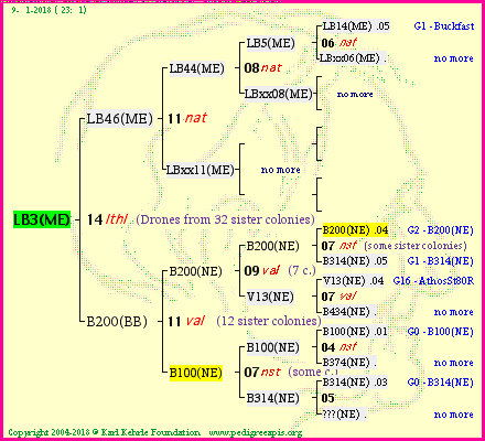 Pedigree of LB3(ME) :
four generations presented